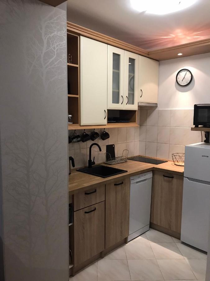 Apartament Karlikowski 索波特 外观 照片